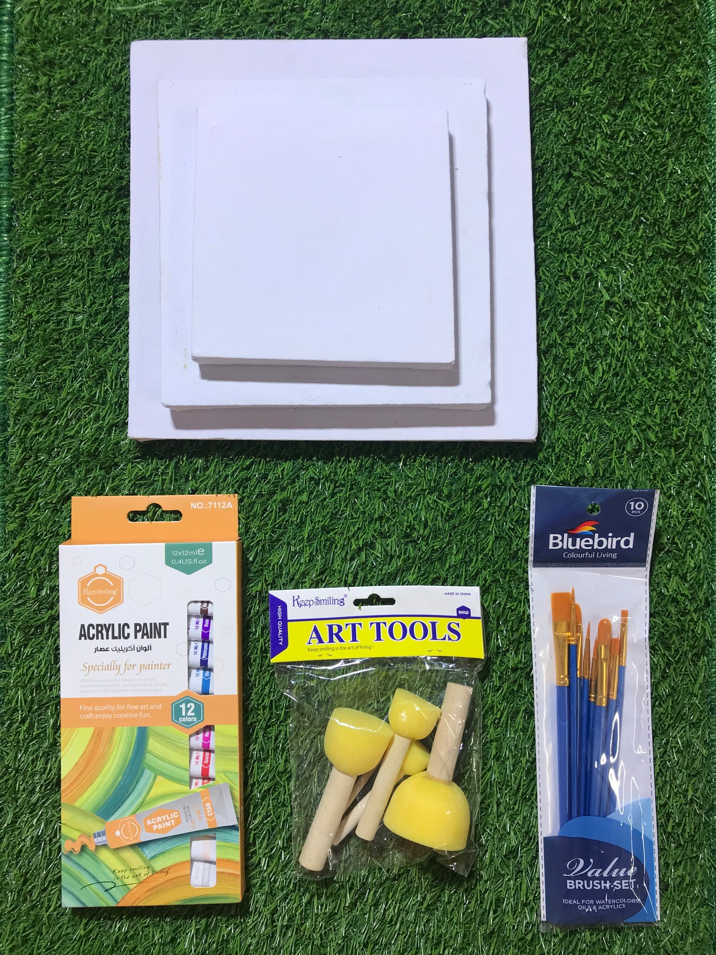 Artist Canvas Combo