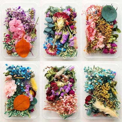 Dried flowers for resin ( random color)