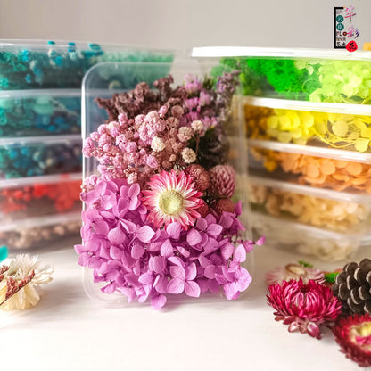 Dried flowers for resin ( random color)