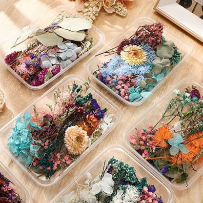 Dried flowers for resin ( random color)