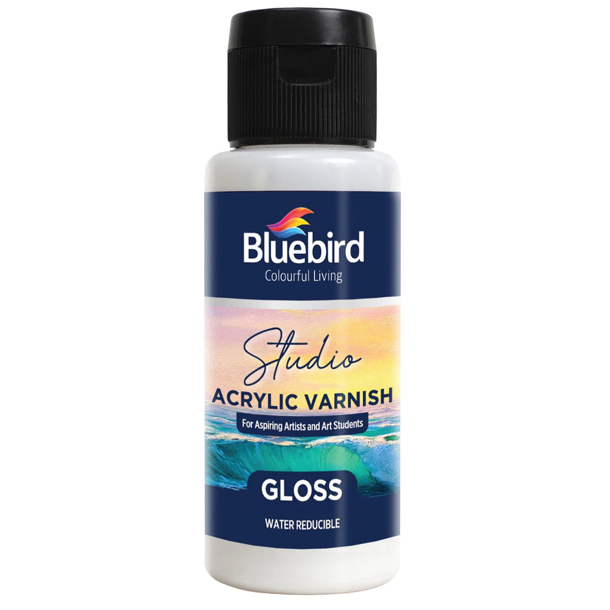 Pack of 2 Bluebird Gesso & Varnish